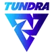 Tundra Esports обыграла Entity на Dota Pro Circuit 2023: Season 3